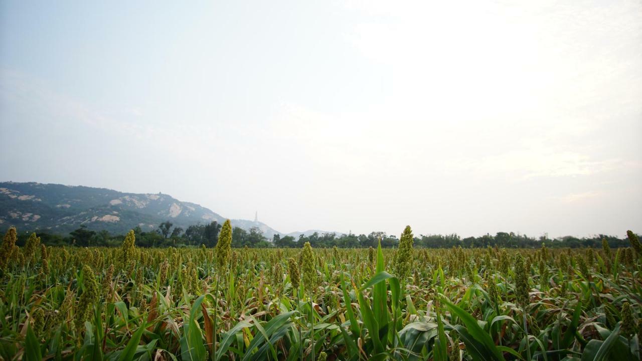 金門廣緣民宿 Guang Yuan B&B Jinsha Extérieur photo